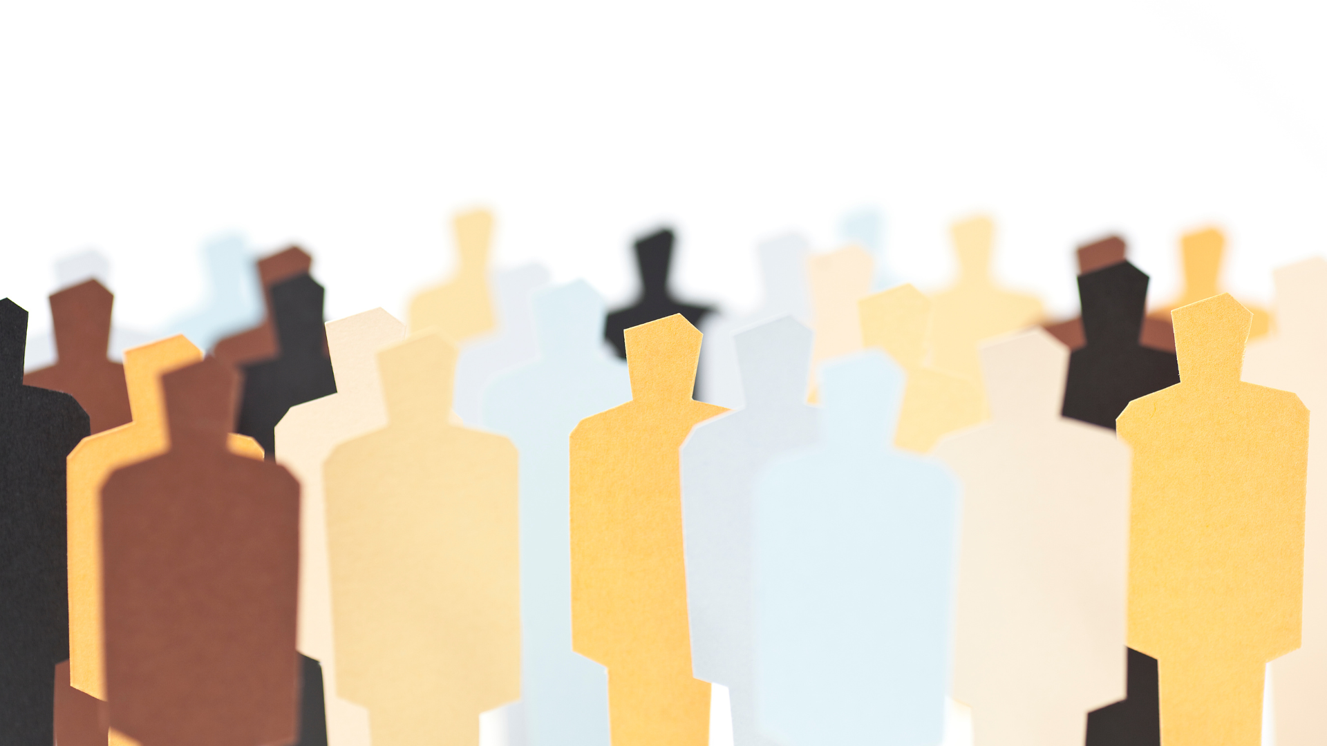 Diversity DIversity in the workplace